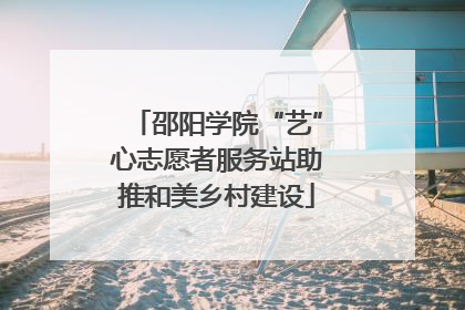 邵阳学院“艺”心志愿者服务站助推和美乡村建设
