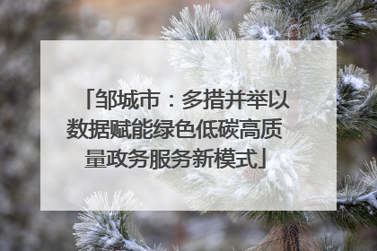 邹城市：多措并举以数据赋能绿色低碳高质量政务服务新模式