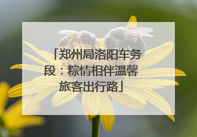 郑州局洛阳车务段：粽情相伴温馨旅客出行路