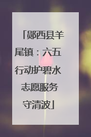 郧西县羊尾镇：六五行动护碧水 志愿服务守清波