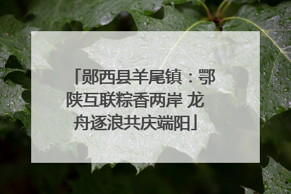 郧西县羊尾镇：鄂陕互联粽香两岸 龙舟逐浪共庆端阳