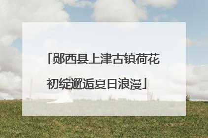 郧西县上津古镇荷花初绽邂逅夏日浪漫