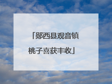 郧西县观音镇桃子喜获丰收