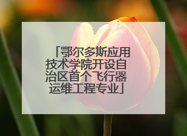 鄂尔多斯应用技术学院开设自治区首个飞行器运维工程专业