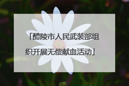 醴陵市人民武装部组织开展无偿献血活动