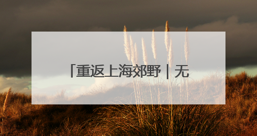 重返上海郊野｜无斑雨蛙“回乡记”