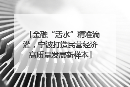 金融“活水”精准滴灌，宁波打造民营经济高质量发展新样本