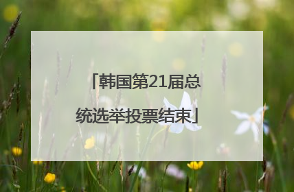 韩国第21届总统选举投票结束