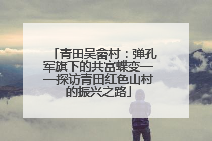 青田吴畲村：弹孔军旗下的共富蝶变——探访青田红色山村的振兴之路