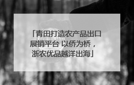 青田打造农产品出口展销平台 以侨为桥，浙农优品越洋出海