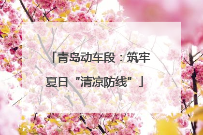 青岛动车段：筑牢夏日“清凉防线”