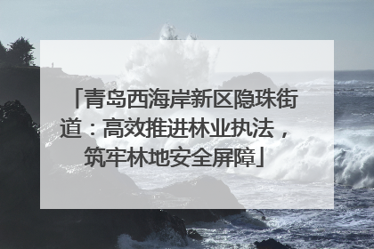 青岛西海岸新区隐珠街道：高效推进林业执法，筑牢林地安全屏障