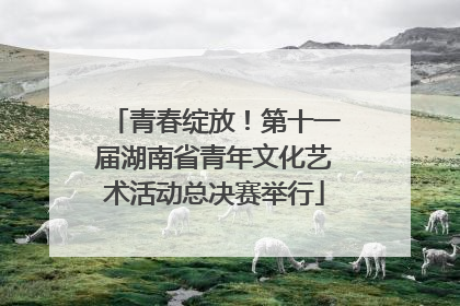 青春绽放！第十一届湖南省青年文化艺术活动总决赛举行