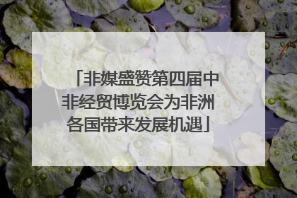 非媒盛赞第四届中非经贸博览会为非洲各国带来发展机遇