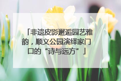 非遗皮影邂逅园艺雅韵，顺义公园演绎家门口的“诗与远方”