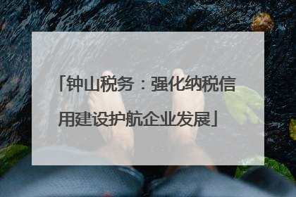 钟山税务：强化纳税信用建设护航企业发展