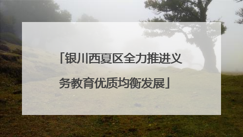银川西夏区全力推进义务教育优质均衡发展