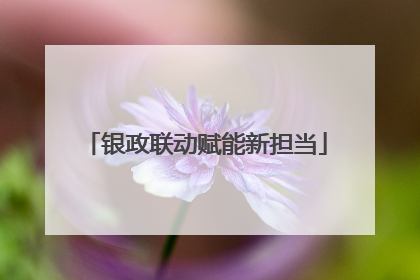 银政联动赋能新担当