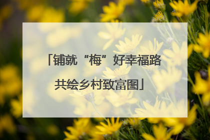 铺就“梅”好幸福路 共绘乡村致富图
