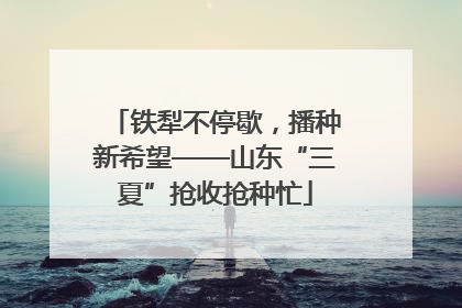 铁犁不停歇，播种新希望——山东“三夏”抢收抢种忙