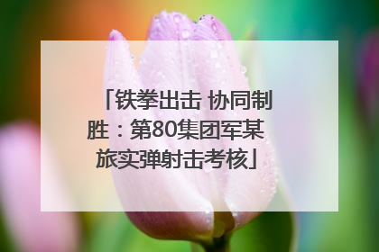 铁拳出击 协同制胜：第80集团军某旅实弹射击考核