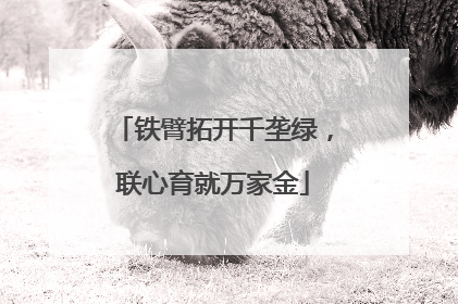 铁臂拓开千垄绿，联心育就万家金