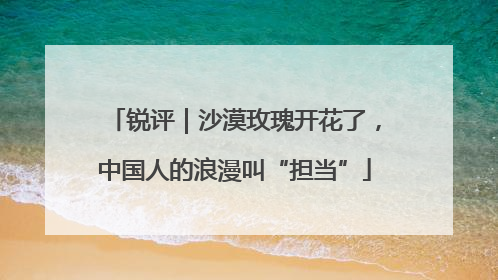 锐评｜沙漠玫瑰开花了，中国人的浪漫叫“担当”