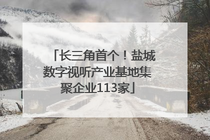 长三角首个！盐城数字视听产业基地集聚企业113家