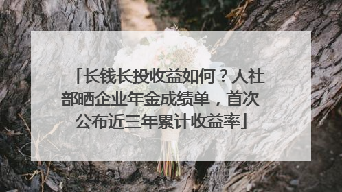长钱长投收益如何？人社部晒企业年金成绩单，首次公布近三年累计收益率