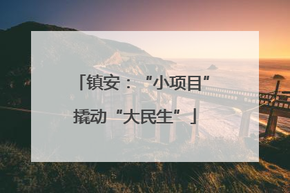 镇安：“小项目”撬动“大民生”