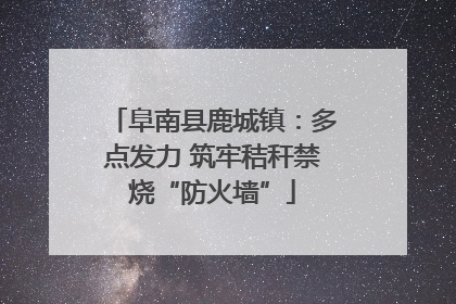 阜南县鹿城镇：多点发力 筑牢秸秆禁烧“防火墙”