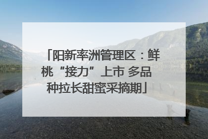 阳新率洲管理区：鲜桃“接力”上市 多品种拉长甜蜜采摘期