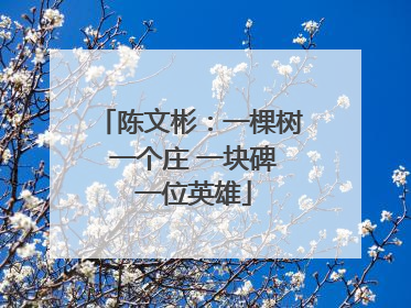 陈文彬：一棵树 一个庄 一块碑 一位英雄