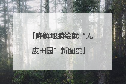 降解地膜绘就“无废田园”新图景