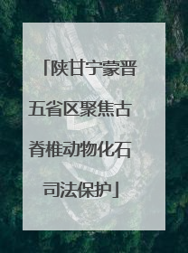 陕甘宁蒙晋五省区聚焦古脊椎动物化石司法保护