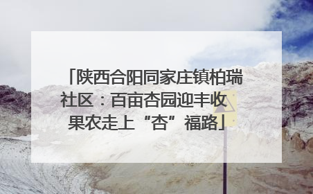 陕西合阳同家庄镇柏瑞社区：百亩杏园迎丰收 果农走上“杏”福路