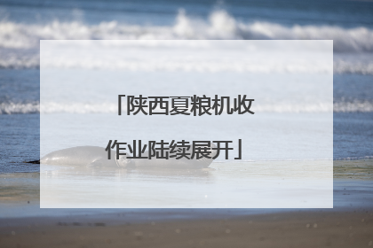 陕西夏粮机收作业陆续展开