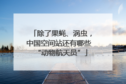 除了果蝇、涡虫，中国空间站还有哪些“动物航天员”