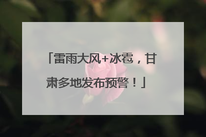 雷雨大风+冰雹，甘肃多地发布预警！
