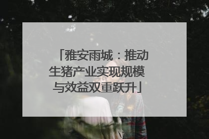 雅安雨城：推动生猪产业实现规模与效益双重跃升