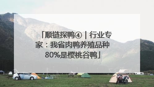 顺链探鸭④｜行业专家：我省肉鸭养殖品种80%是樱桃谷鸭