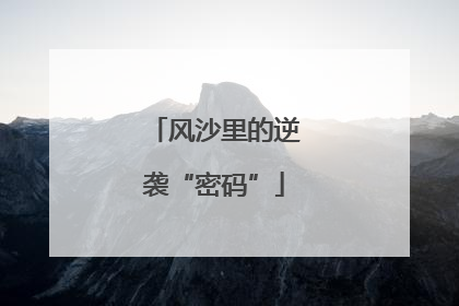 风沙里的逆袭“密码”