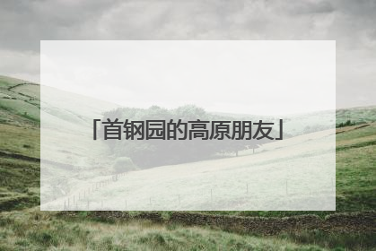 首钢园的高原朋友