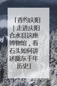 香约庆阳｜走进庆阳合水县这座博物馆，看石头如何讲述陇东千年历史