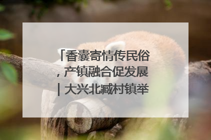 香囊寄情传民俗，产镇融合促发展｜大兴北臧村镇举办端午主题活动