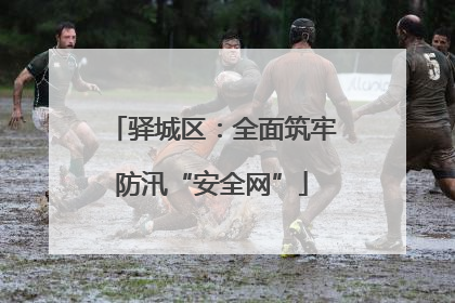 驿城区：全面筑牢防汛“安全网”