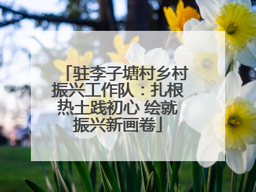 驻李子塘村乡村振兴工作队：扎根热土践初心 绘就振兴新画卷