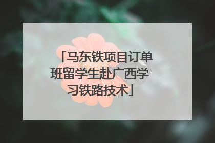 马东铁项目订单班留学生赴广西学习铁路技术