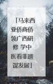 马来西亚侨商侨领广西研修 学中医看非遗谋发展