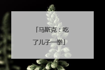 马斯克：吃了儿子一拳